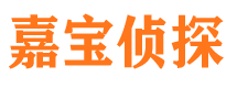 高安市侦探